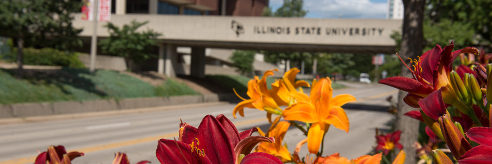 ISU bridge